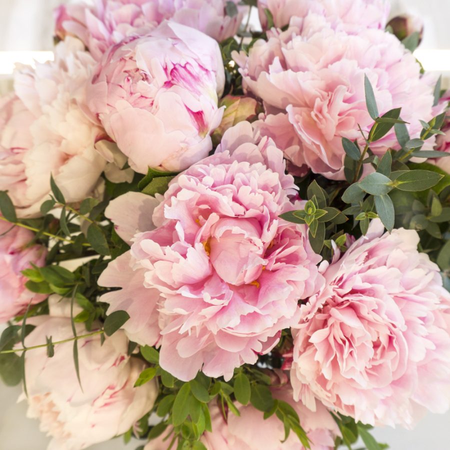 Pink Peony - Enchanted Floral Design