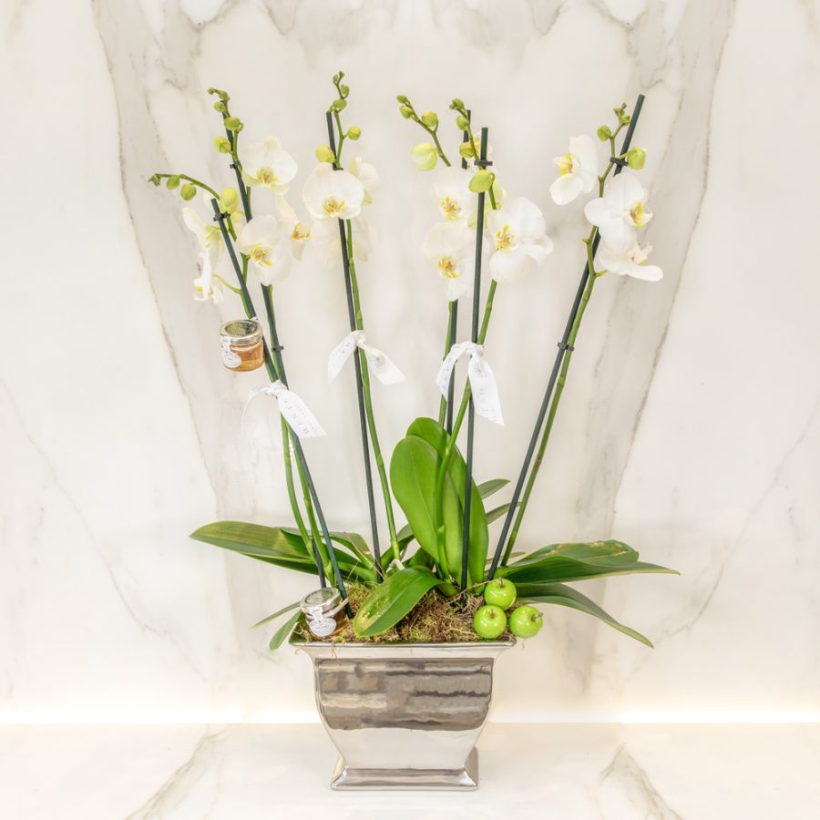 Sweet - Orchid - Enchanted - Floral - Design